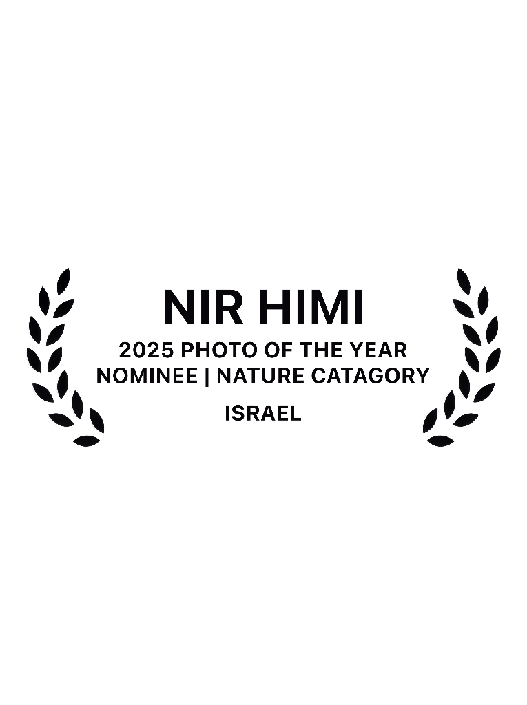 Award badge