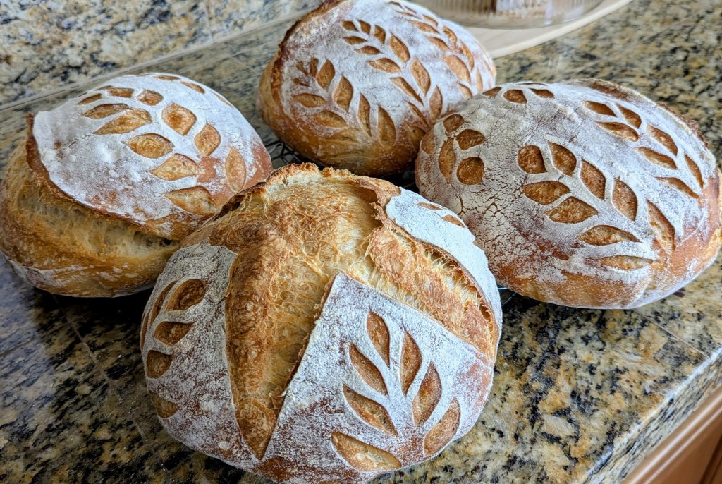 Sourdough loaves