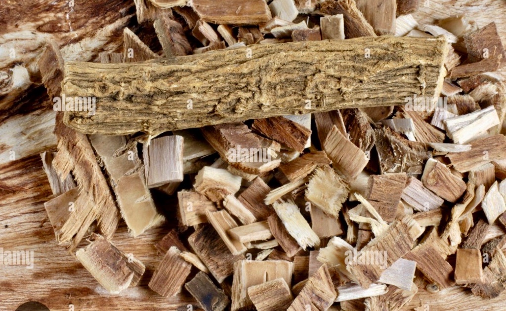 Soap Bark Extract