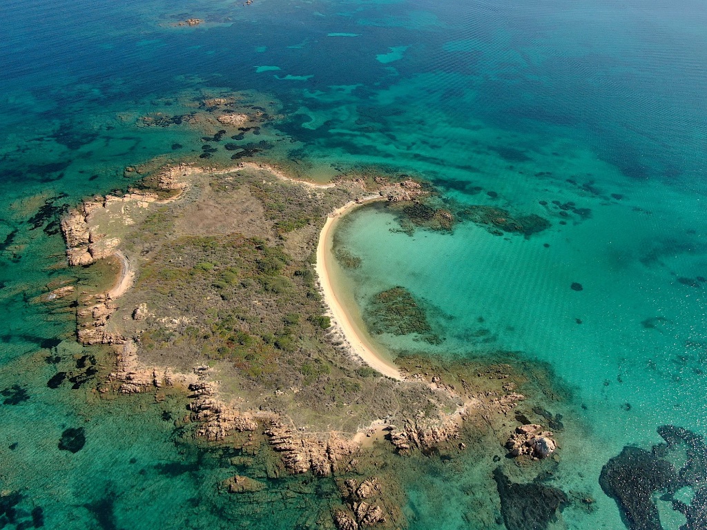 Isola dei Cavalli