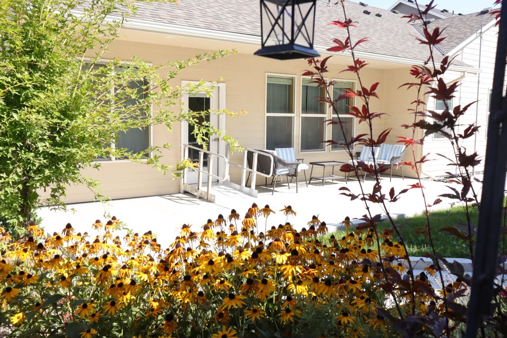 Patio framed by black-eyed Susans