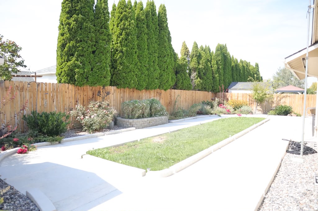 Backyard lawn and evergreen hedge