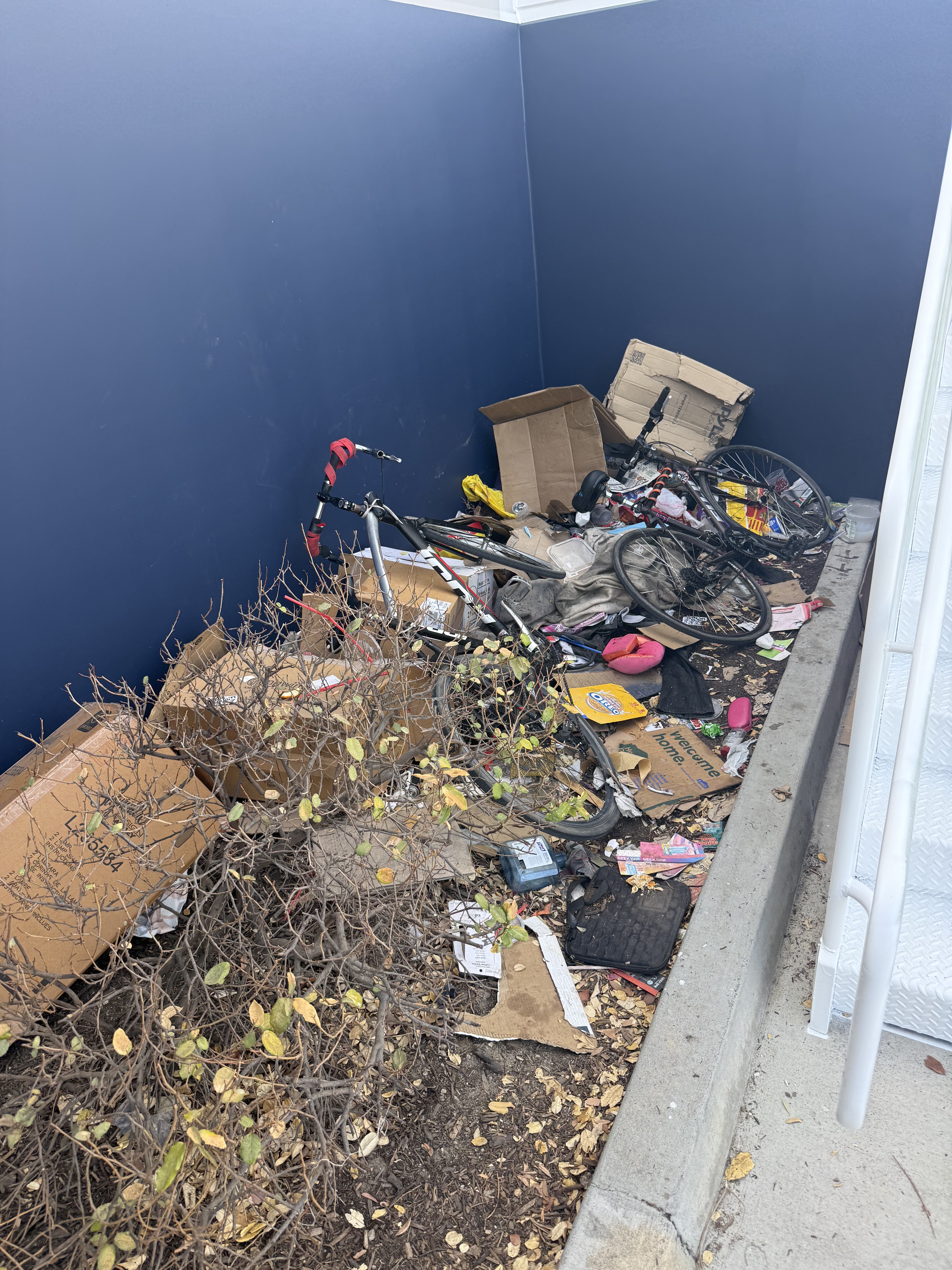 Bicycles and trash dumped in a planting bed - before cleanup