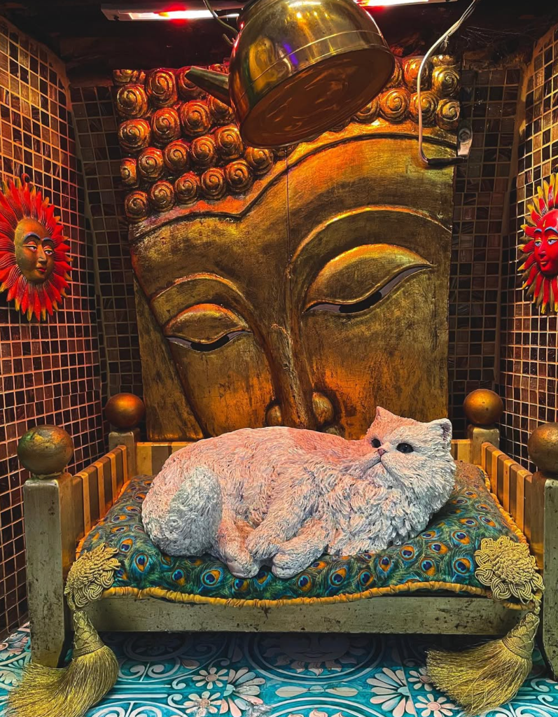 Cosmic Café · Oak Lawn, Dallas