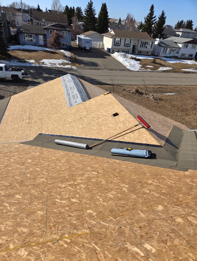 Aerial View — New Roof Build