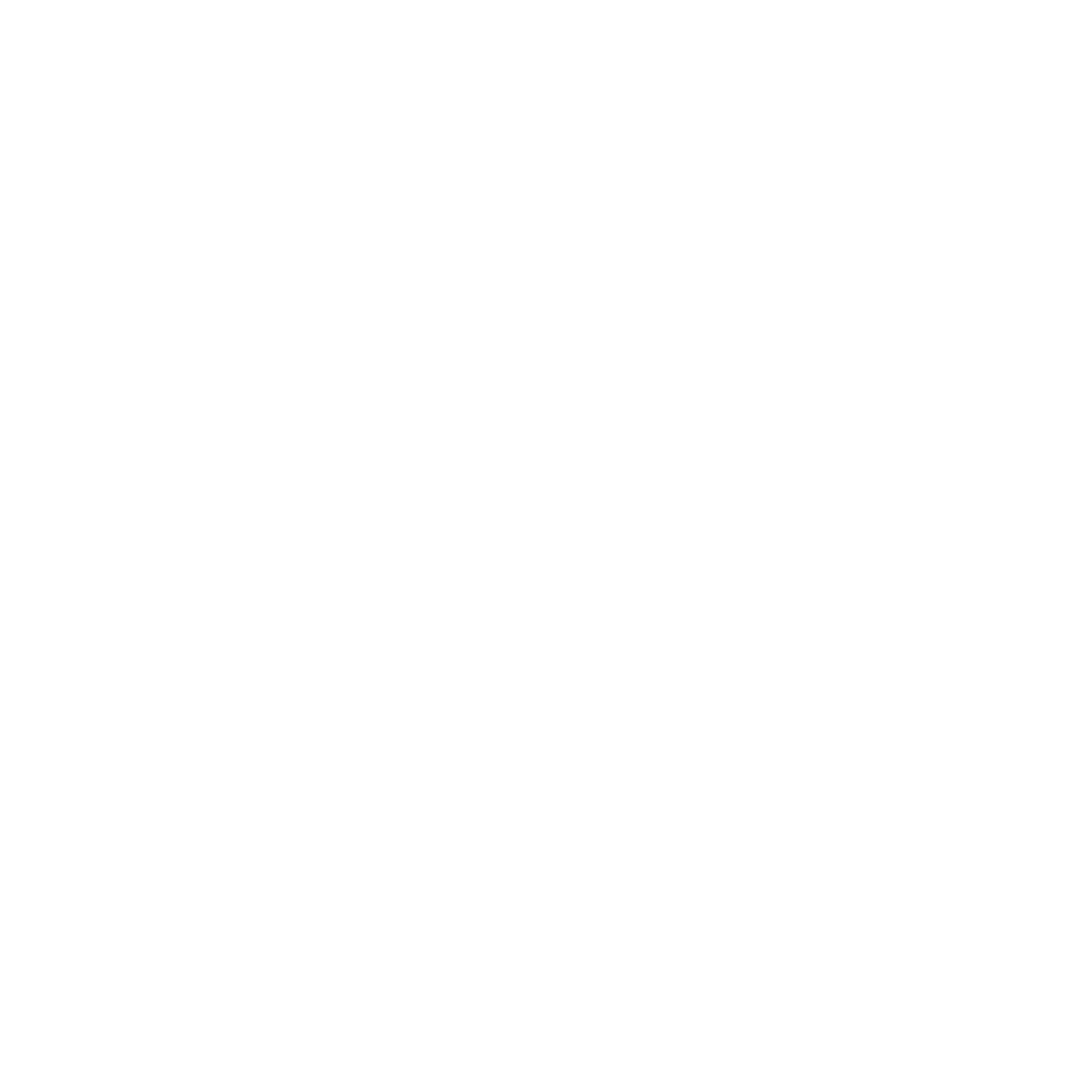 Aiden