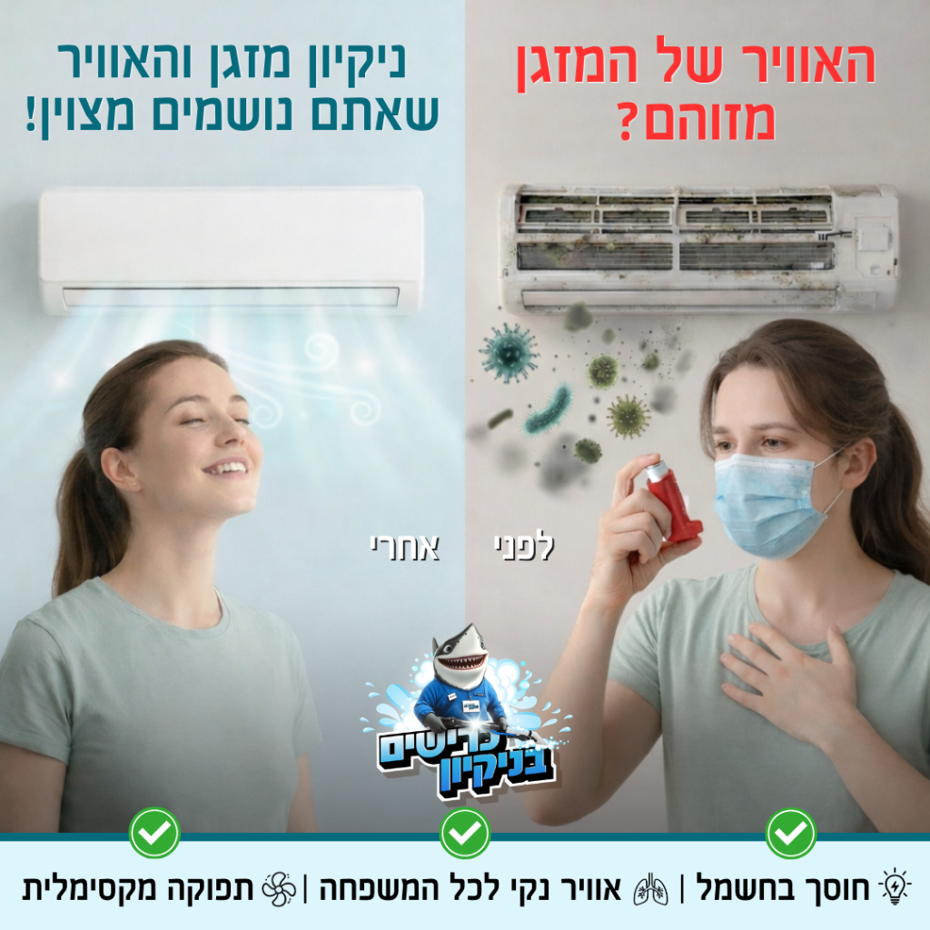 כרישים בניקיון