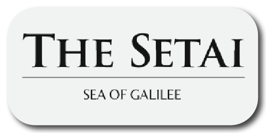 The Setai