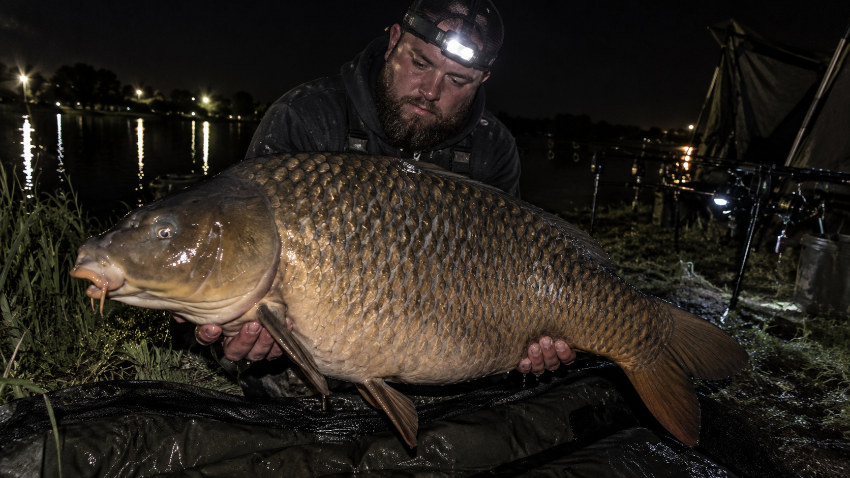 Trophy carp caught using the 4-Rod Tournament System
