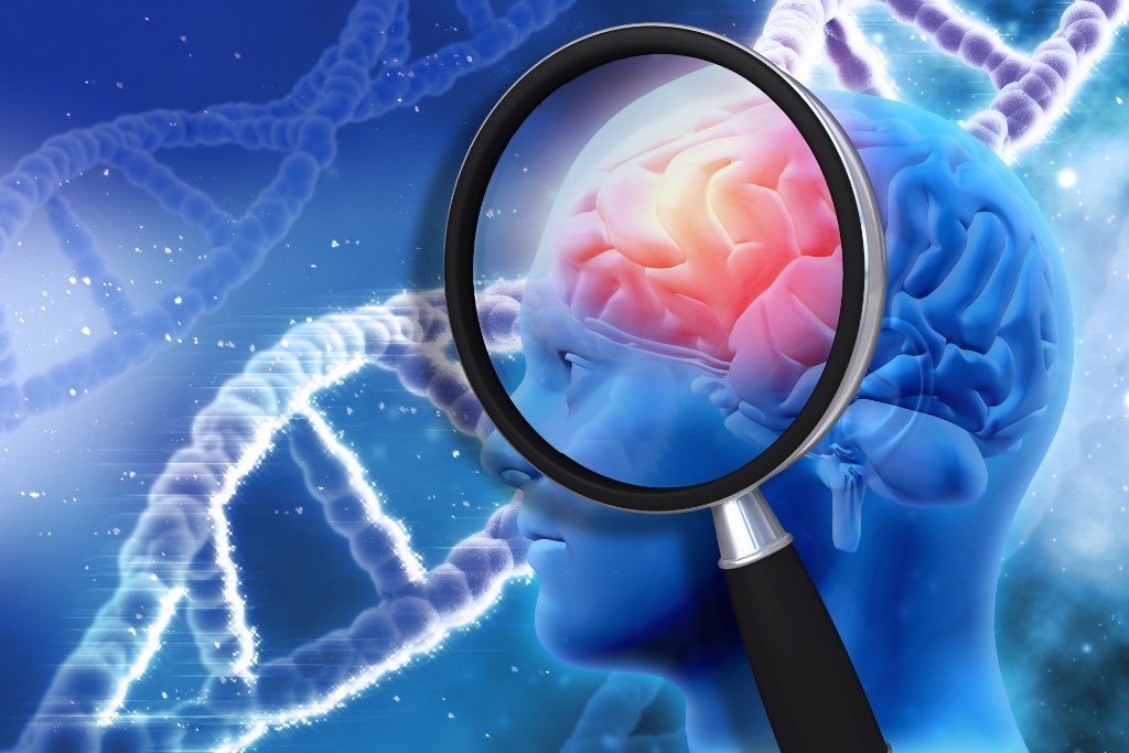 Brain neuro assessment