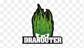 Festival Dranouter