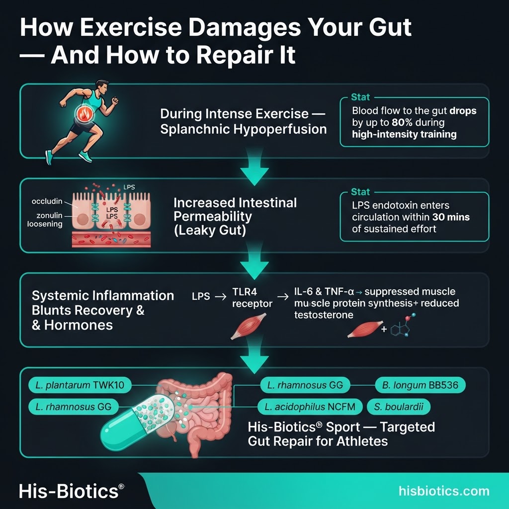 Article infographic