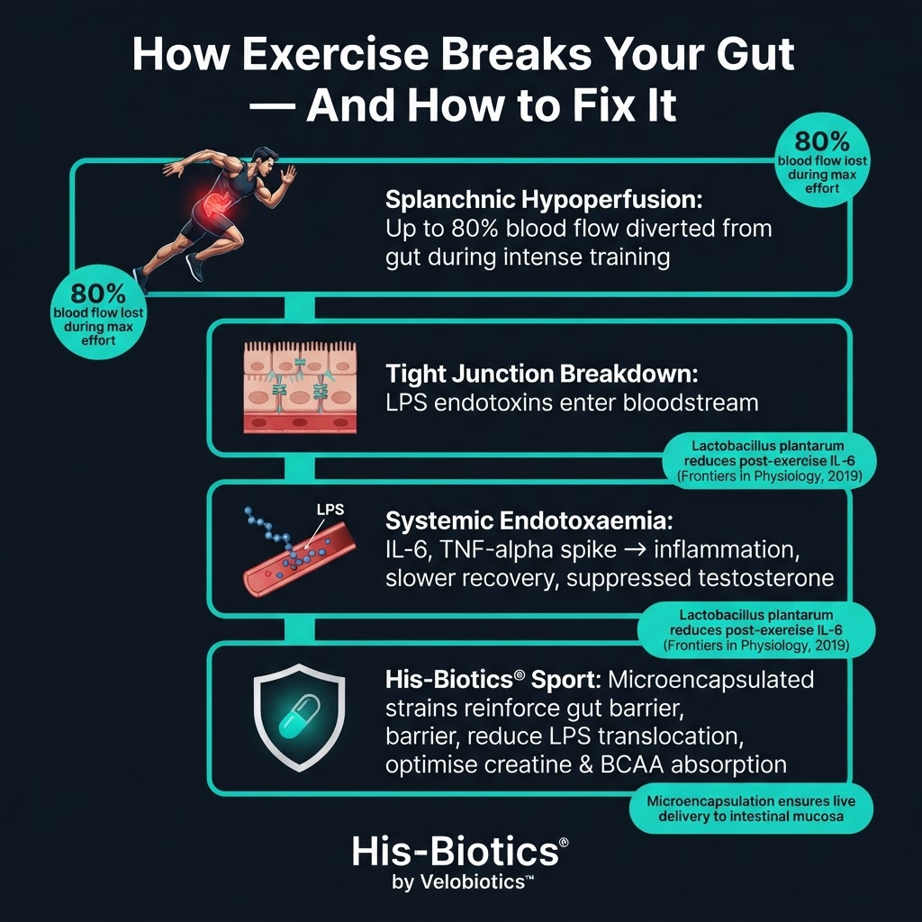 Article infographic