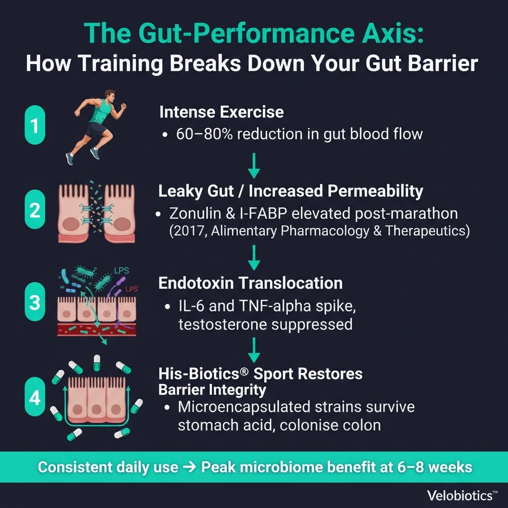 Article infographic