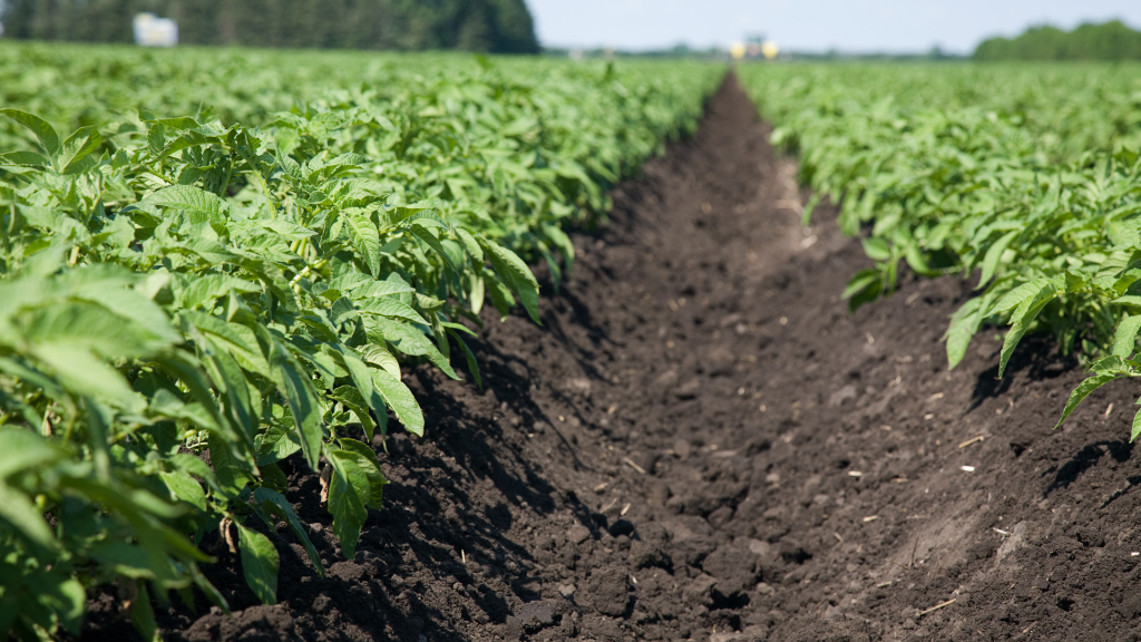 Agricultura Next Gen