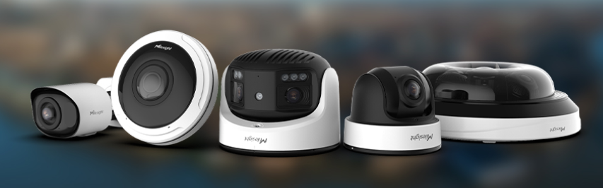 Panoramic Series — 180°/360° AI Cameras