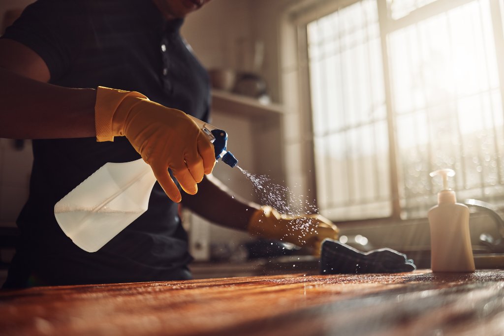 Domestic cleaning service