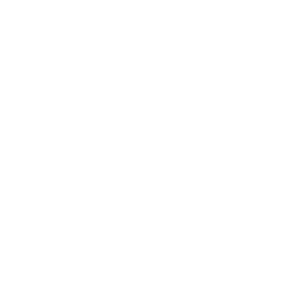 RV Shipping