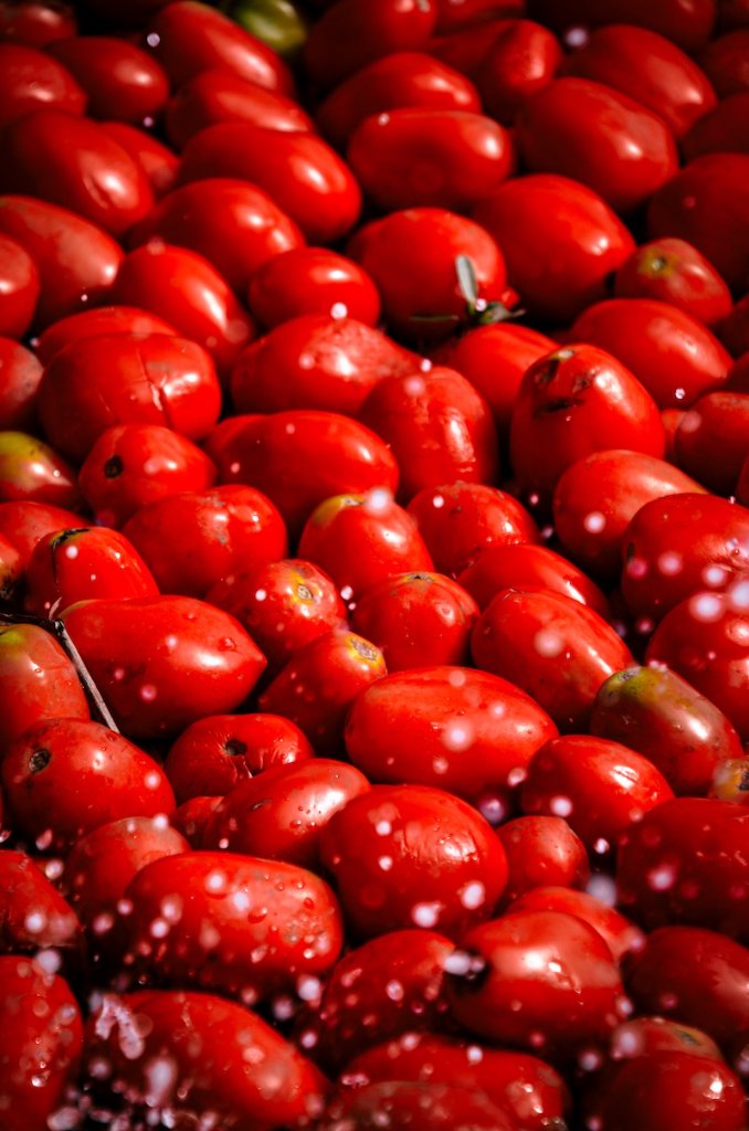 Tomates