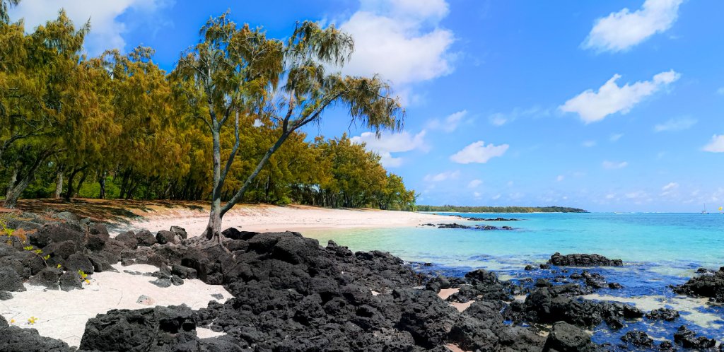 East Coast beach