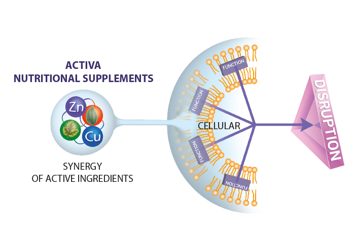 Activa Nutritional Supplements synergy