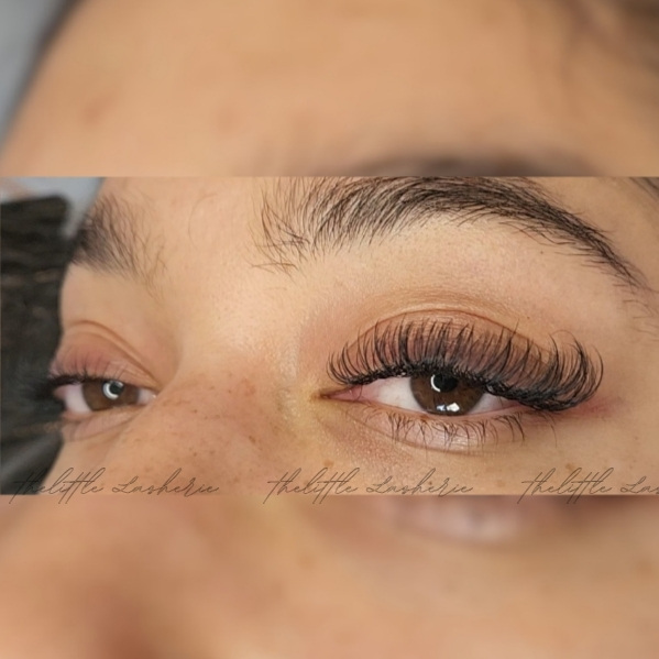 Foxy-Fox-Eye