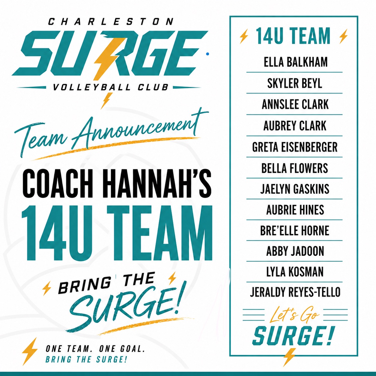 14U Team roster announcement