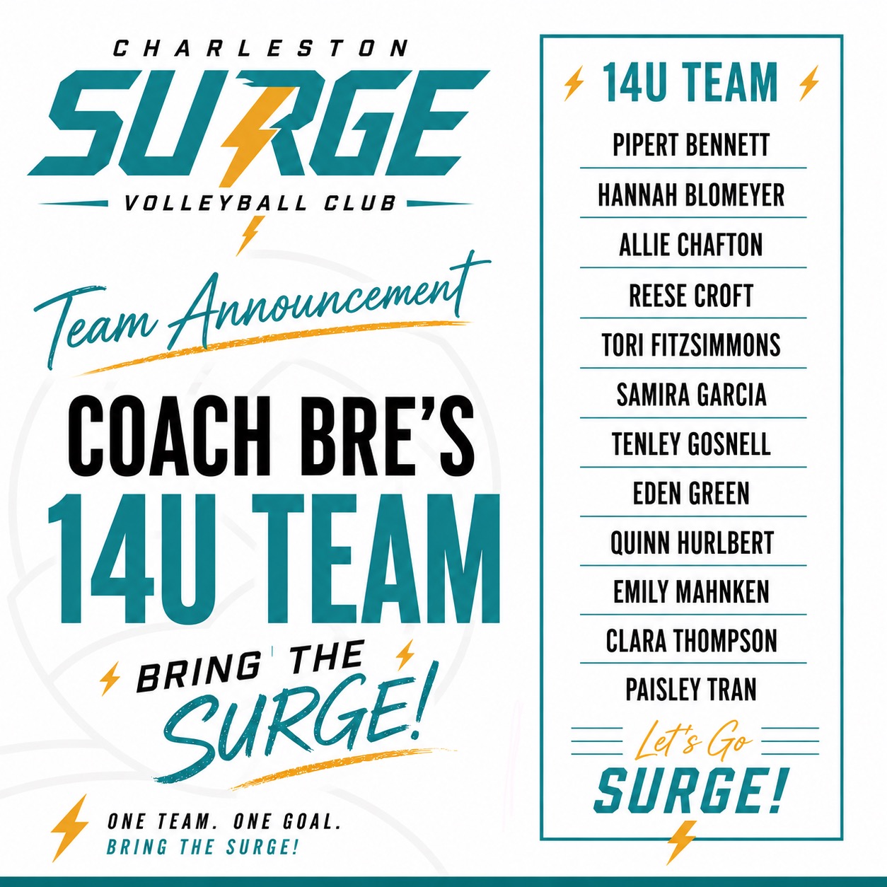 14U Team roster announcement