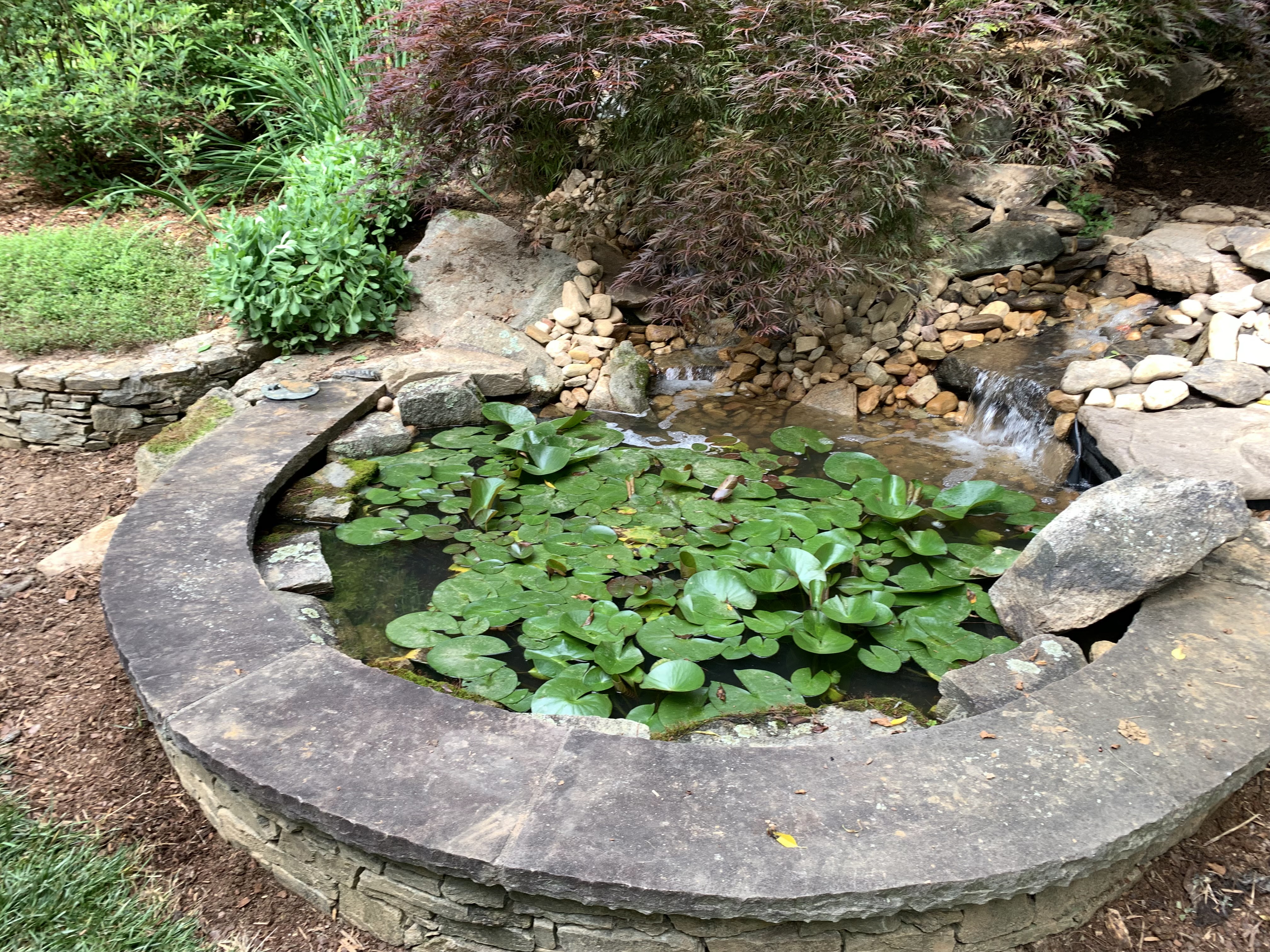 Landscape Design