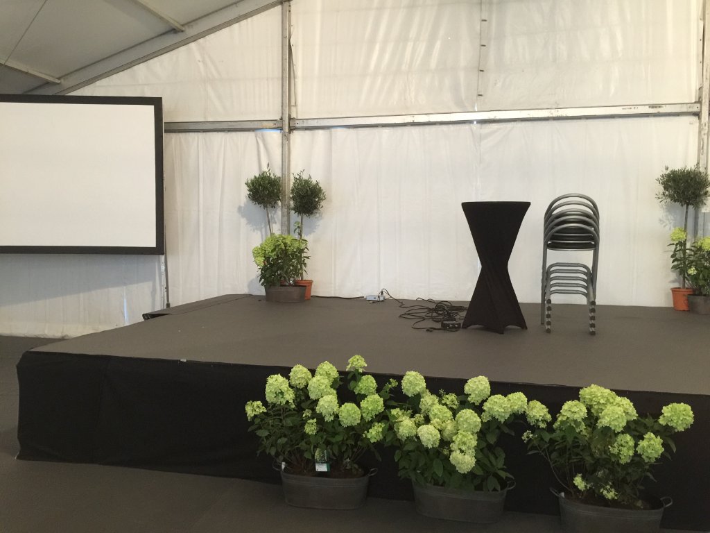 Scène habillée de noir avec écran de projection et décoration florale