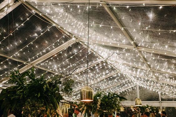 Guirlandes LED avec décoration végétale sous chapiteau cristal