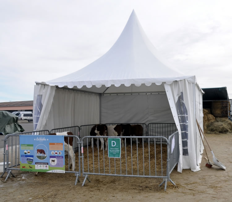 Tente pagode 5x5 avec enclos pour animaux d'élevage