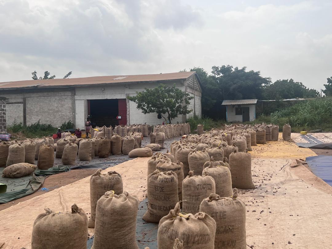 Storage yard of bagged agricultural commodities