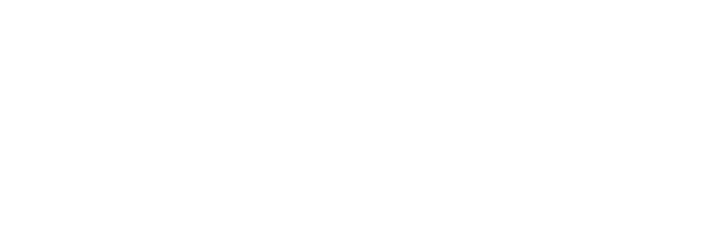 Xalution