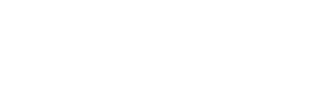 Expert