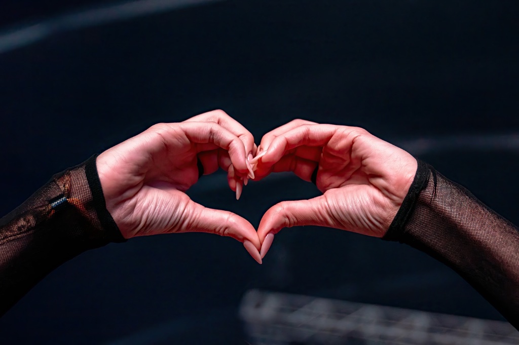 EDM Festival Coverage — Cavale Live