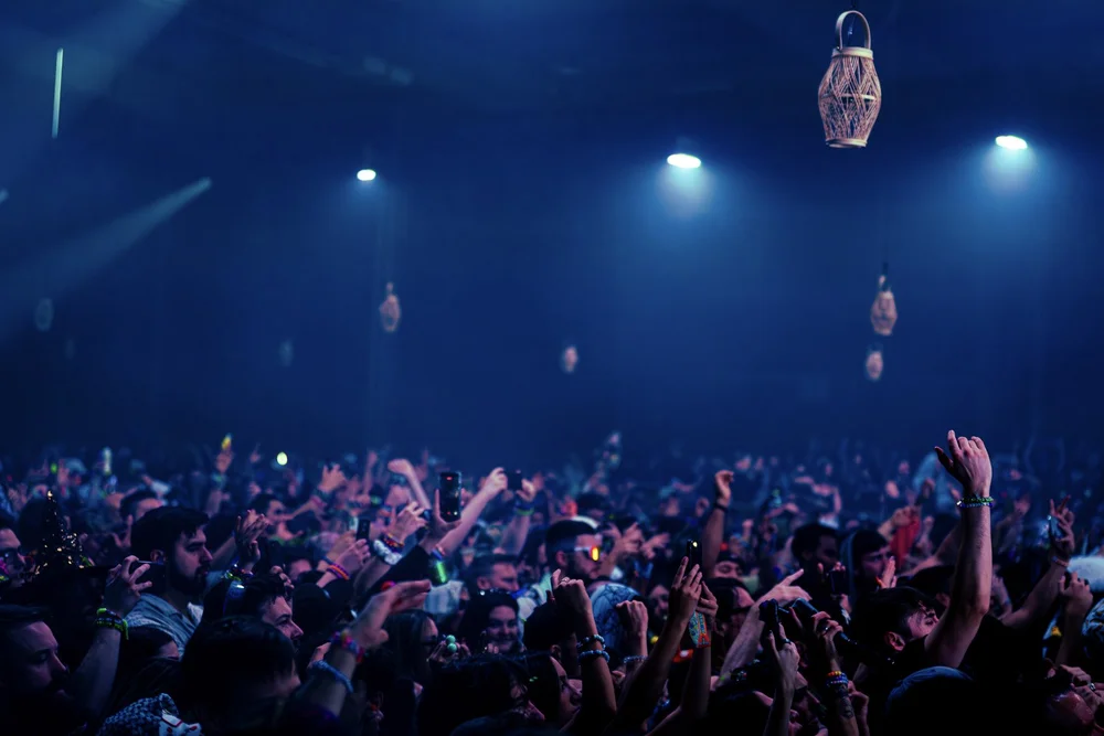 EDM Festival Coverage — Cavale Live