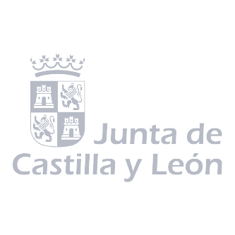 Junta de Castilla y León