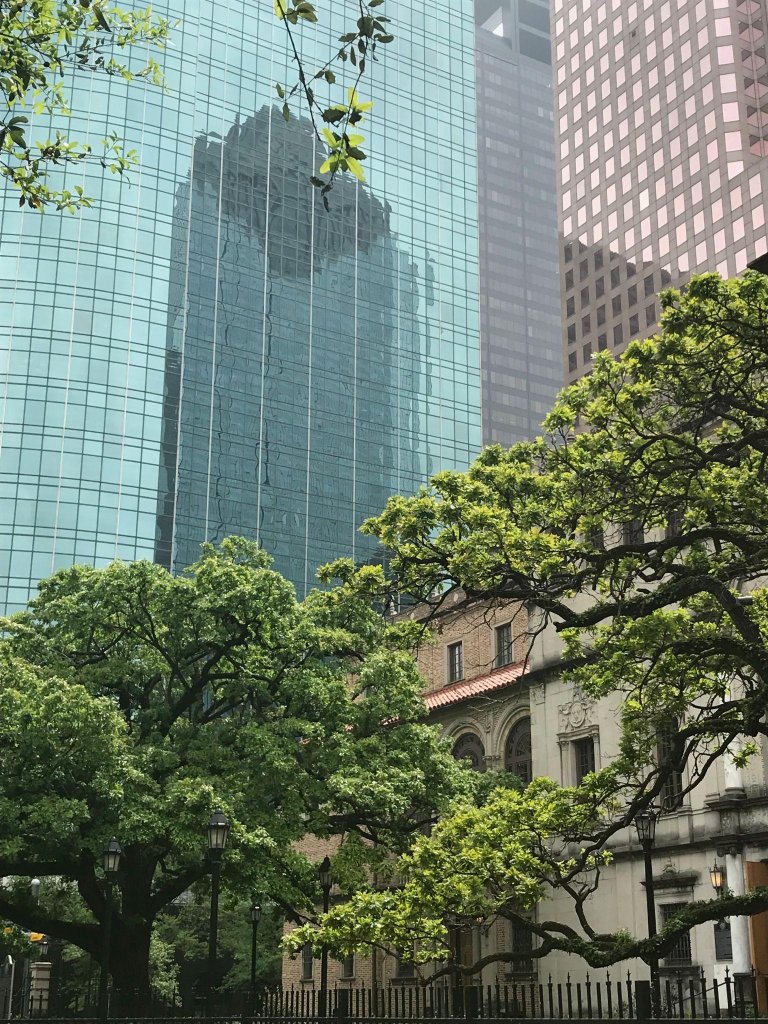 Houston downtown trees and skyline