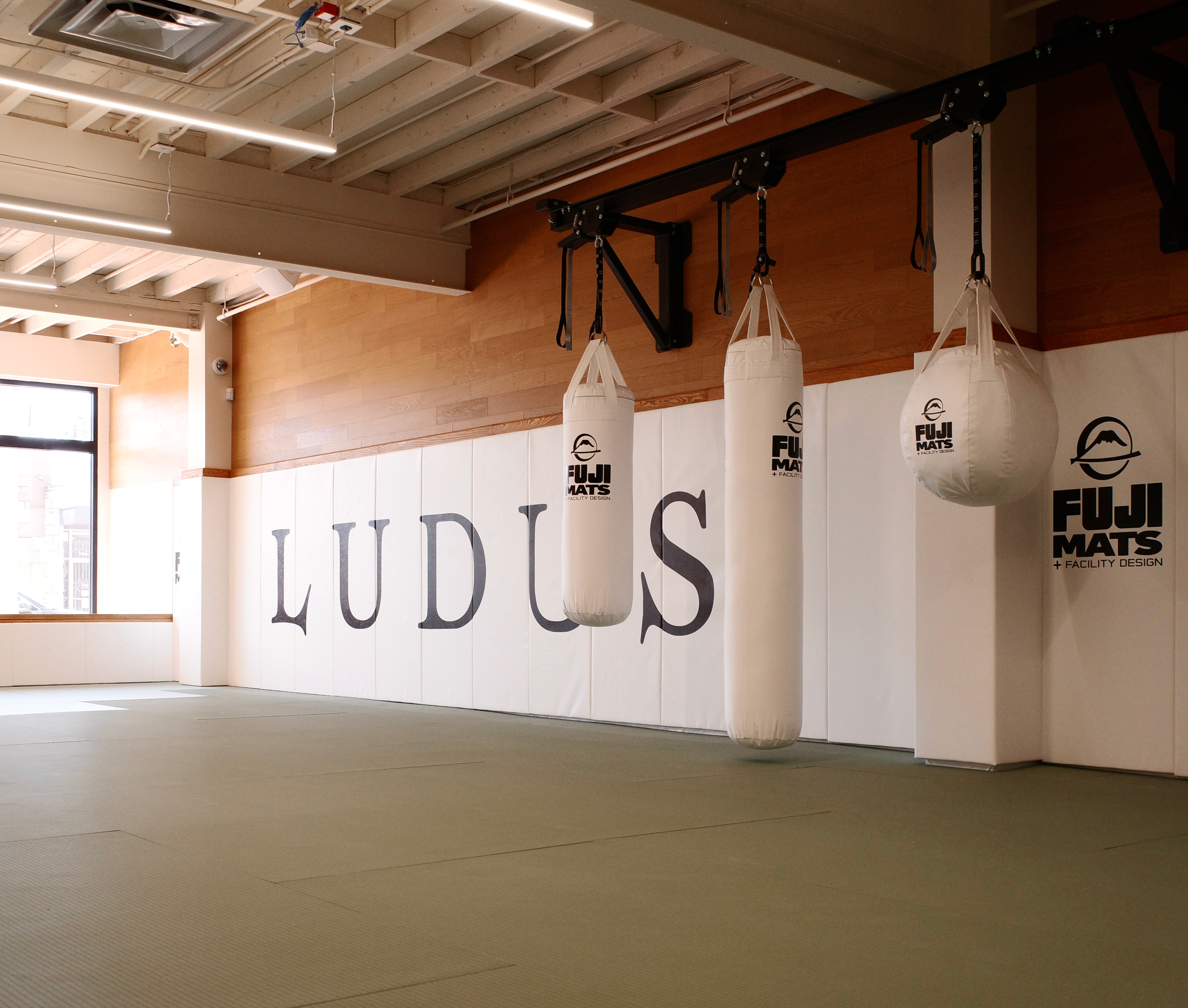 The LUDUS training floor