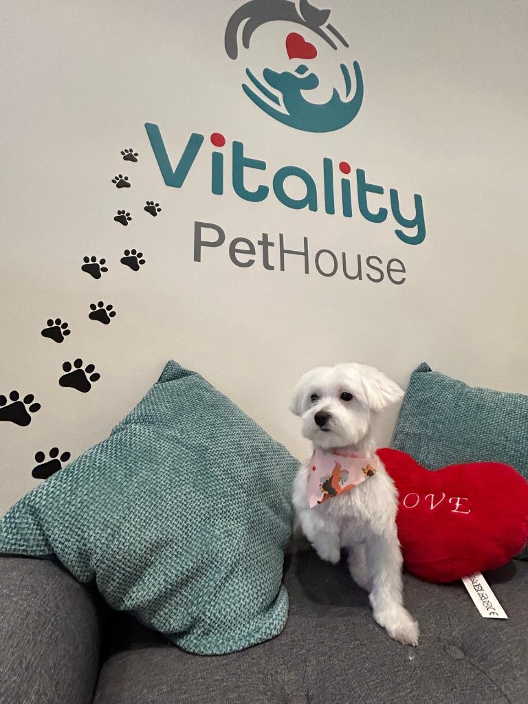 Vitality Pethouse - mascota 1