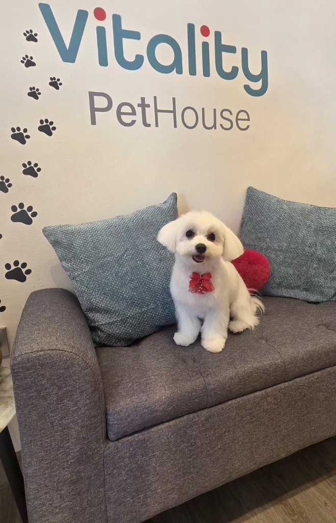 Vitality Pethouse - mascota 35