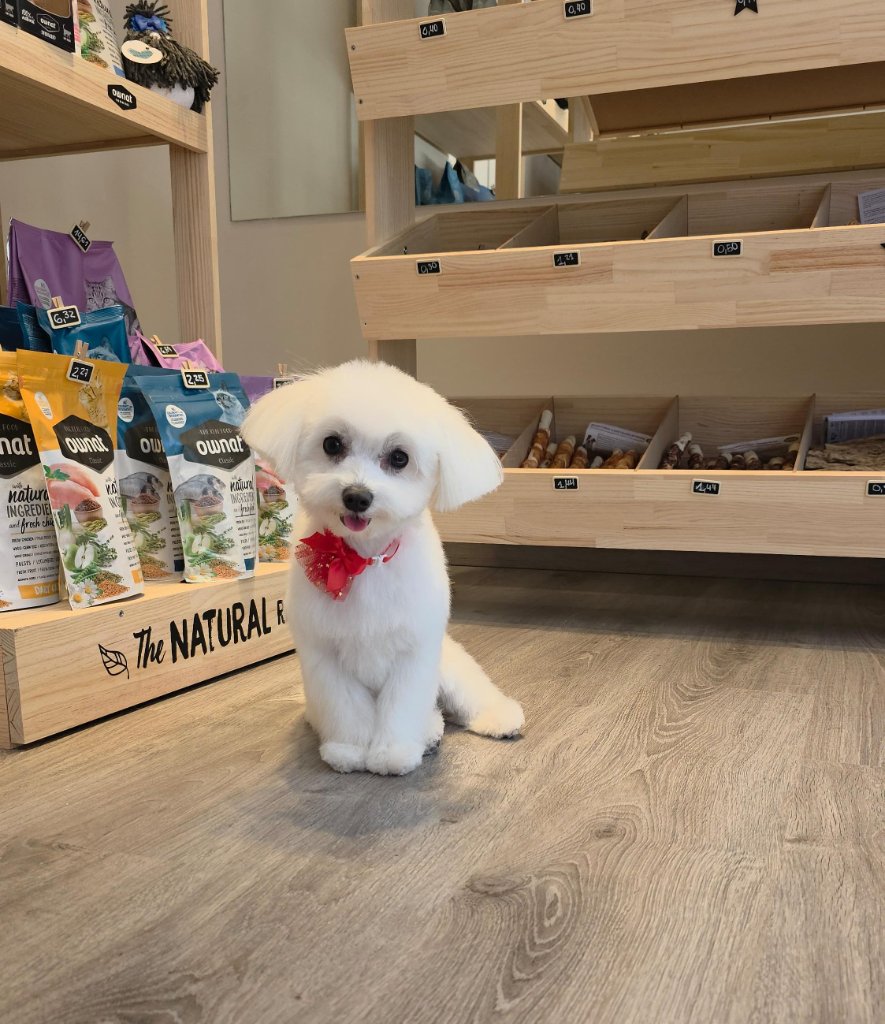Vitality Pethouse - mascota 43