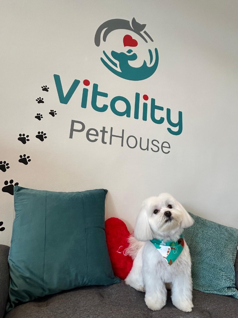 Vitality Pethouse - mascota 13