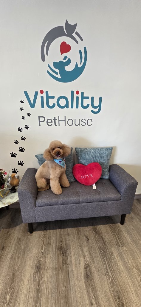 Vitality Pethouse - mascota 36