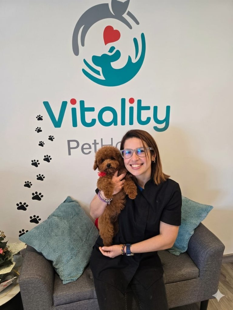 Vitality Pethouse - mascota 24