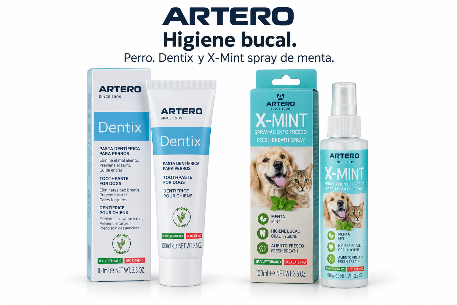 Artero Higiene bucal