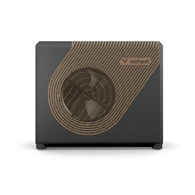 Weheat Sparrow