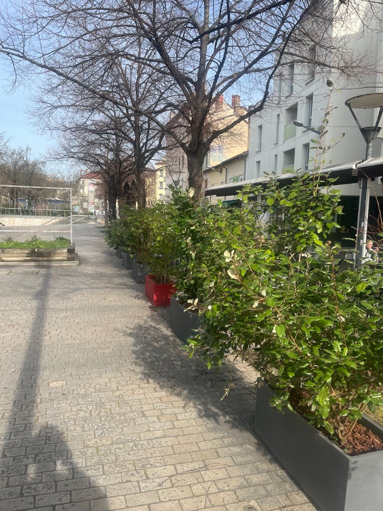 Terrasse de restaurant délimitée par des bacs végétalisés à Lyon