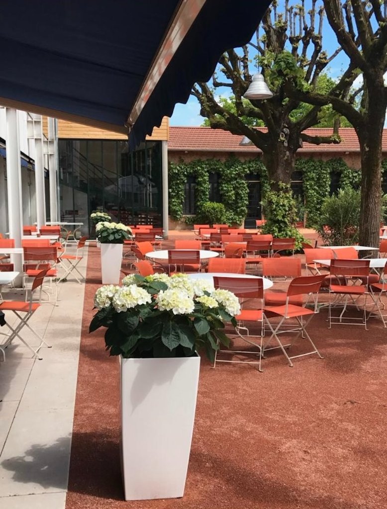 Terrasse de restaurant fleurie avec hortensias en pot